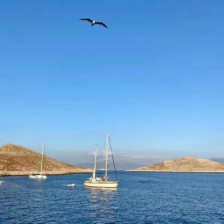 Skiadeni
